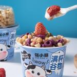 Freeze-Dried Yellow Peach Strawberry Cereal Pack