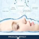 Water Oxygen EMS Nano Jet Facial Treatment Device