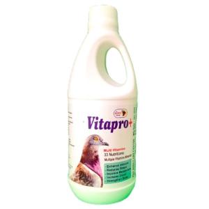 Vitapro+ Multivitamin Syrup for Pigeons - 250ml