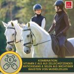 EMMA® Vitamin E and Selenium for Horses 1L