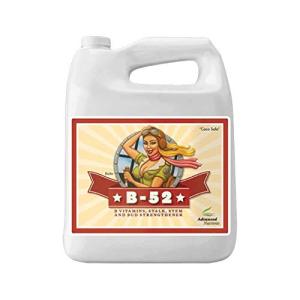 B-52 Weight Loss Booster, 4L Liquid Formulation