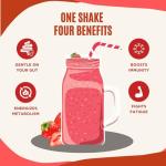 Strawberry Banana Raspberry White Chocolate Meal Shake