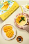 Mango Soy Milk Powder - Instant Healthy Snack