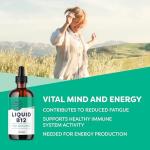 Vimeragy Liquid B12 Dietary Supplement 115ml