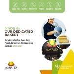 Vegan Protein Bars Bundle: Chocolate, Coconut, Apple Cinnamon