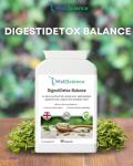 WellScience DigestiDetox Balance: All-in-One Support