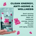 Vegan Raspberry Flavor NMN Gummies for Energy Boost