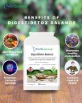 WellScience DigestiDetox Balance: All-in-One Support
