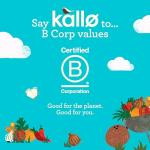 Kallo Coconut Curry Veggie Cakes and Crackers