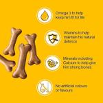 Healthy Dog Treats Crunchy Gravy Bones 400g x 2