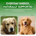 Natural Dried Chicken Feet for Dogs and Cats