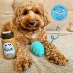 Natural High-Protein Peanut Butter Dog Treat 320g