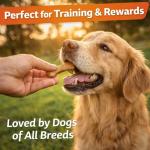 BISCROK Gravy Bones Treats Bundle with Tennis Ball