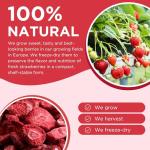 Freeze-Dried Strawberry Slices - No Sugar Added