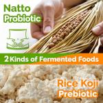 Japanese Natto and Koji Mix Superfood Condiment