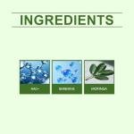 5 Pack Moringa Slimming Micro-Needle Patches