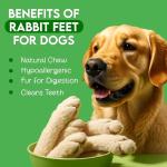 Natural Air-Dried Rabbit Feet Treats for Dogs