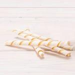 Healthy Chicken Twisted Sticks for Dogs - 10 Pack