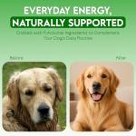 Natural Air-Dried Rabbit Feet Treats for Dogs