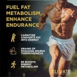 Thermogenic Fat Burner for Boosting Metabolism