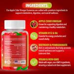 Dr. Robaina Apple Cider Vinegar Gummies – Supports Metabolism, Debloat & Weight Loss – ACV Gummies, Appetite Suppressant – Vegan, Non-GMO, Gluten-Free, Made in USA