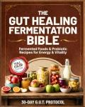 Gut Healing Fermentation Guide for Energy and Vitality