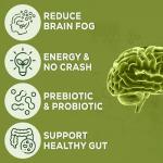 HARMONIFY Yerba Mate Extract – Energy & Metabolism Support