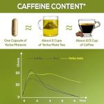 HARMONIFY Yerba Mate Extract – Energy & Metabolism Support