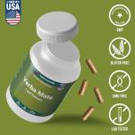 HARMONIFY Yerba Mate Extract – Energy & Metabolism Support