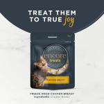 Natural Grain-Free Chicken Cat Treats, Freeze-Dried 12x10g