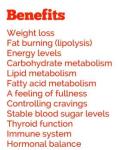 VitaDiet Slim Thermogenic Fat Burner - 90 Vegan Capsules