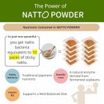 Natural Natto Powder for Gut Health & Immunity