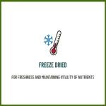 Organic Fermented Turmeric Supplement – 60 Caps