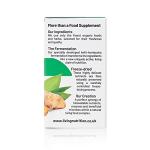 Organic Fermented Turmeric Supplement – 60 Caps