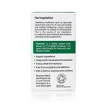 Organic Fermented Turmeric Supplement – 60 Caps