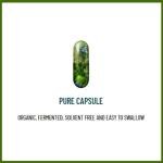 Organic Fermented Turmeric Supplement – 60 Caps