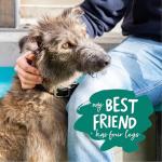 Natural Duck Fillets Dog Treats - High Protein Snacks