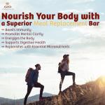 Infinity Greens Superfood Meal Replacement Bars (12 Pack)