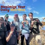 Infinity Greens Superfood Meal Replacement Bars (12 Pack)