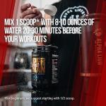 Alpha Lion Superhuman Burn: Metabolism Booster & Fat Burner