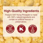 Tropgo Dried Pineapple - Guilt-Free Snack 120g