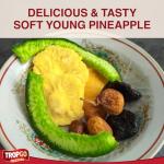 Tropgo Dried Pineapple - Guilt-Free Snack 120g