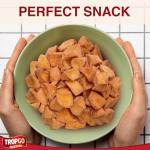 Tropgo Dried Cinnamon Apple Chunks - 120g Snack