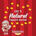 Seba Garden Popcorn Kernels - Healthy Snack Option