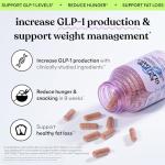 Lemme GLP-1 Support for Hunger Control and Fat Loss