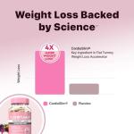 Flat Tummy Fat Burner & Appetite Suppressant – 60 Capsules