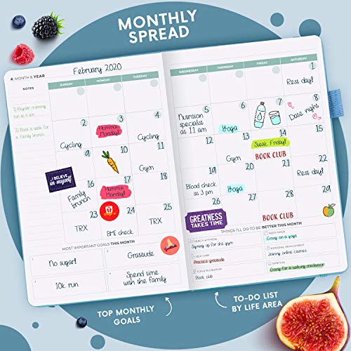 Clever Fox Wellness Journal – Weekly & Daily Health and Wellness Log, Food Journal & Meal Planner Diary for Calorie Counting, Notebook for Medical Condition Tracking, A5 – Light Blue
