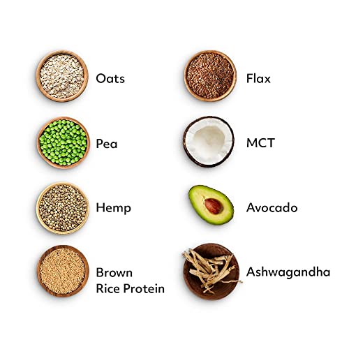 Protein Works - Vegan Complete 360 Meal Shake , 100% Vegan Meal Replacement Powder , Complete Meal , Plant Based Meal Shake , 5 Servings , Choc Mint Brownie , 500g