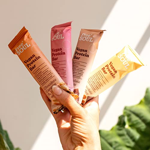 Free Soul Vegan Protein Bar | Plant Based Chocolate Protein Bar | High Protein, Dairy Free, Low Sugar, Low Carb, Sucralose Free, Palm Oil Free | 12 Count (Variety Box)