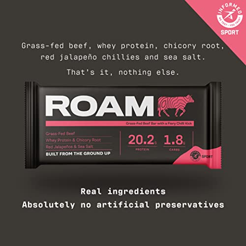 ROAM Natural Protein Bars, Assorted Flavors, 6 Count